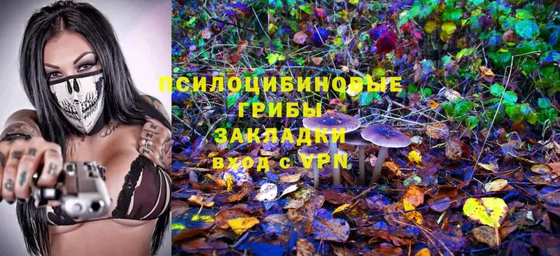 Псилоцибиновые грибы MAGIC MUSHROOMS  продажа наркотиков  ссылка на мегу маркетплейс  Волгореченск 